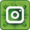 logo instagram verde